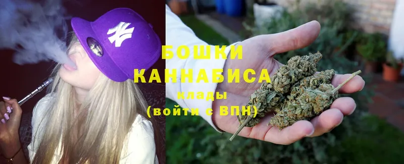 что такое наркотик  Порхов  Бошки Шишки THC 21% 